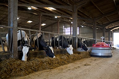 Riscaldamento per Agricoltura e serre