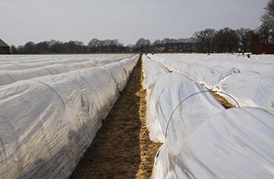 Riscaldamento per agricoltura e serre