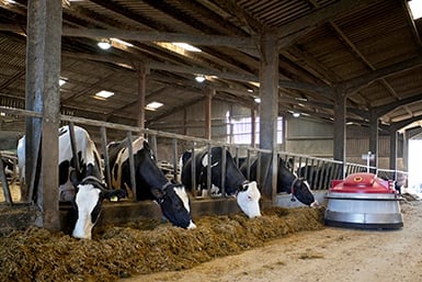 Ventilatori per l’industria agroalimentare - Nolo Climat