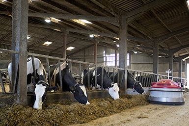 Condizionatori per l’industria agroalimentare