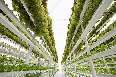 Condizionatori per l’industria agroalimentare