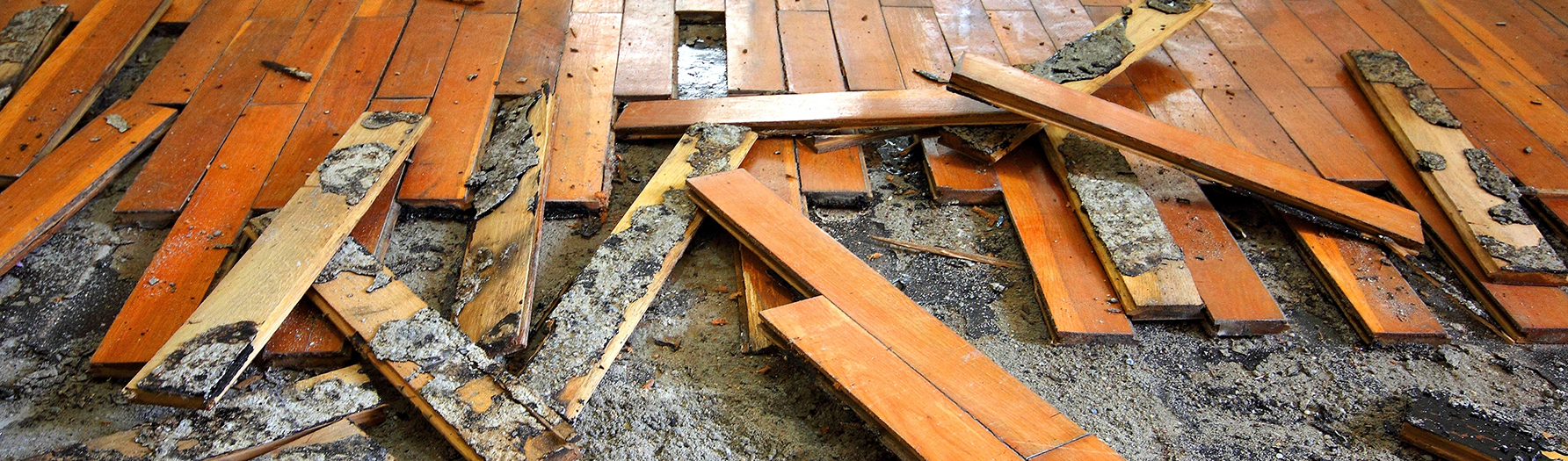 Deumidificatori per allagamenti e danni da incendio - Nolo Climat