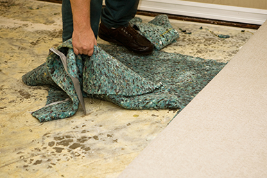 Deumidificatori per facility management e gestori di strutture - Nolo Climat