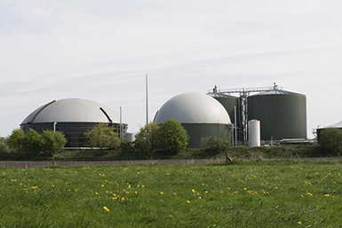 Caldaie per impianti biogas