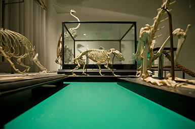 Deumidificatori per musei e gallerie d’arte - Nolo Climat